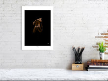 Load image into Gallery viewer, 9548736-3869904