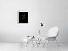 Load image into Gallery viewer, 9548736-3869905
